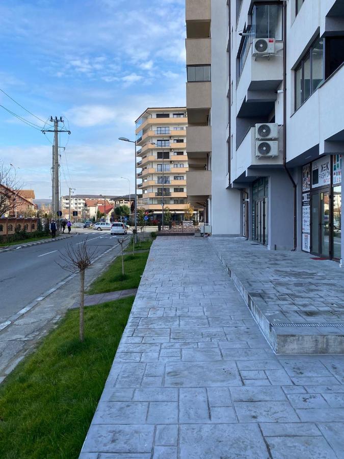 Apartament Lucian Lejlighed Râmnicu Vâlcea Eksteriør billede